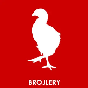 Broilers