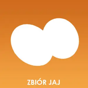 Zbiór jaj