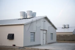 System wentylacji kurników - wentylacja dachowa z kominami wyciągowymi